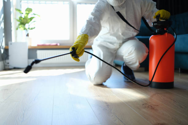 Reliable Sewage Cleanup contractor in New Smyrna Beach, FL by Trauma Clean Pros
